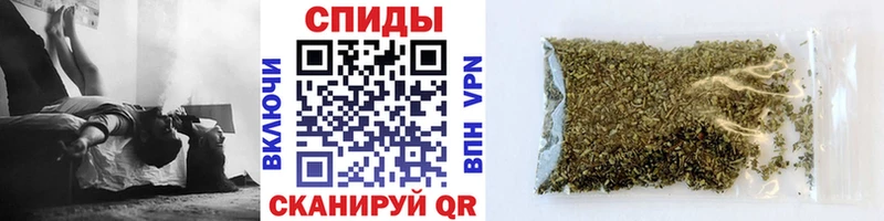 Купить  Новосиль  Бутират 99% 